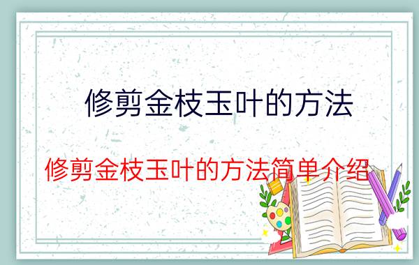 修剪金枝玉叶的方法 修剪金枝玉叶的方法简单介绍